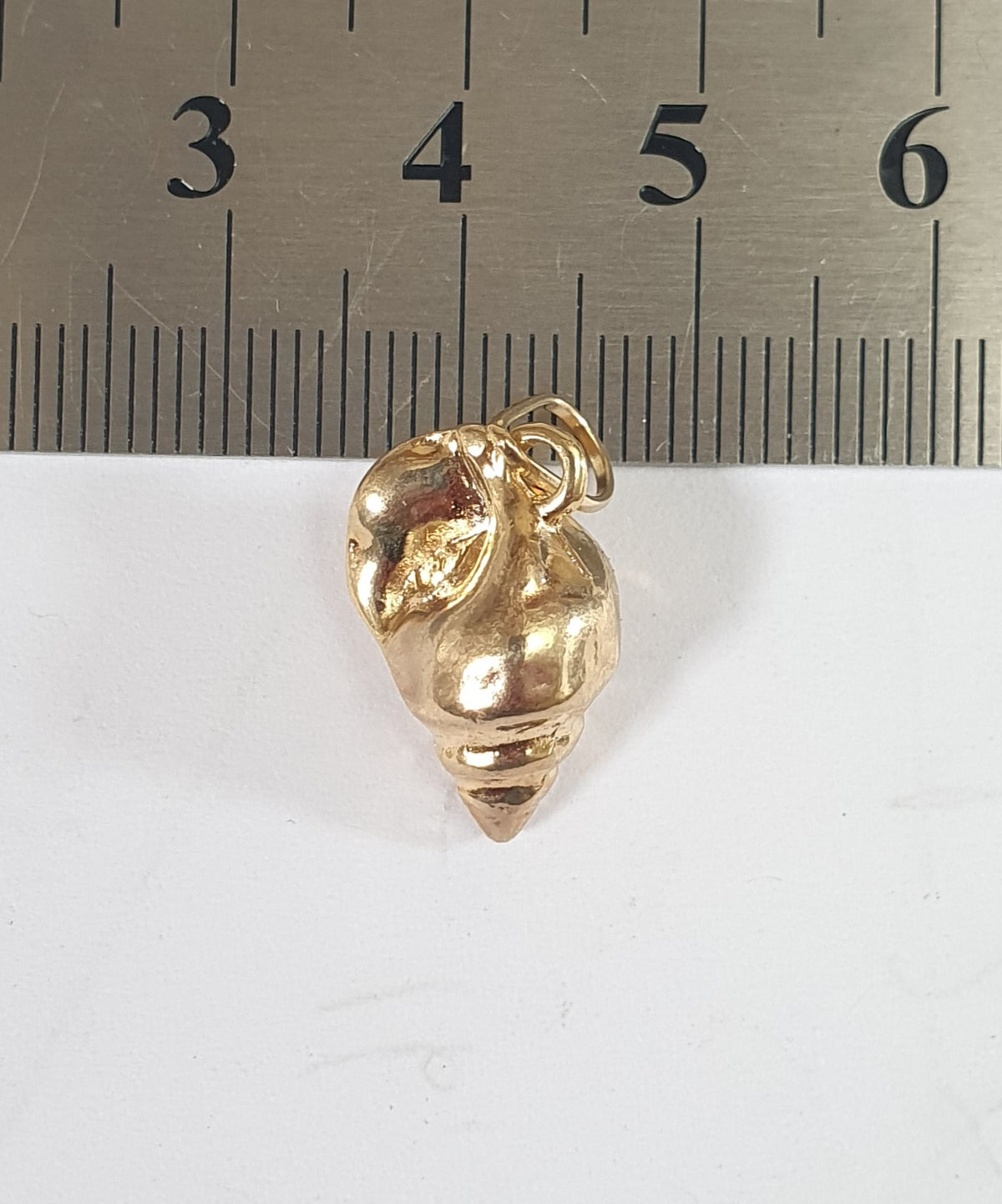 Dije de Caracol de mar Insumo baño de Oro